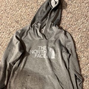 The north face sweatshirt
